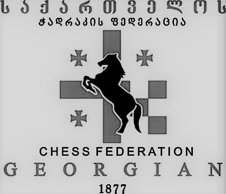 geo-logo1 ბაციაშვილი საქართველოს ჩემპიონია