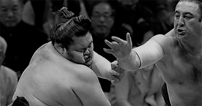 toshinoshin-sumo ტოჩინოშინი – 500