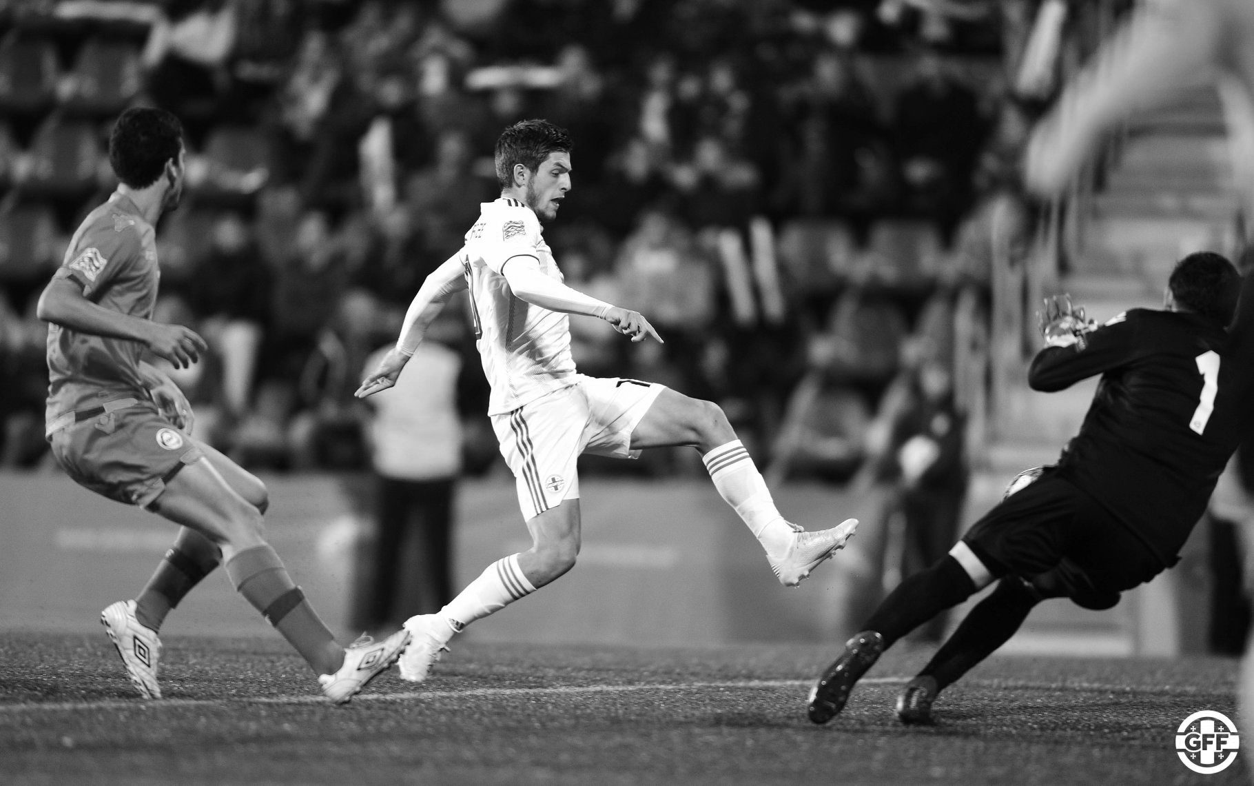 46495327_2310852835652587_3898508820640432128_o მიწაზე დავეშვით