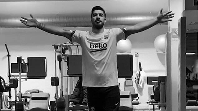Suarez სუარესის გეგმები