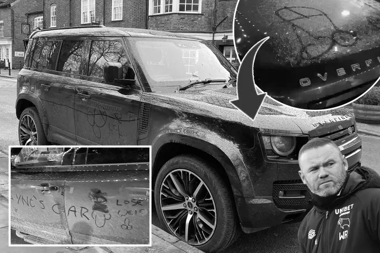 Rooney 0 დახატეს, რასაც ფიქრობდნენ რუნიზე