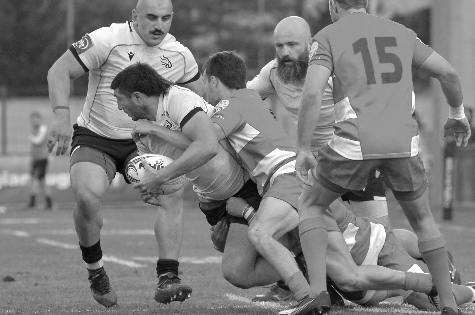 ლომი თრილერი ავჭალაში