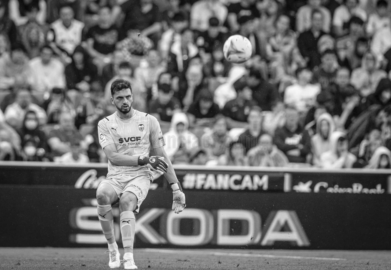 Mamarda king levante საუკეთესო მამარდაშვილი იყო, უარესი — მსაჯი