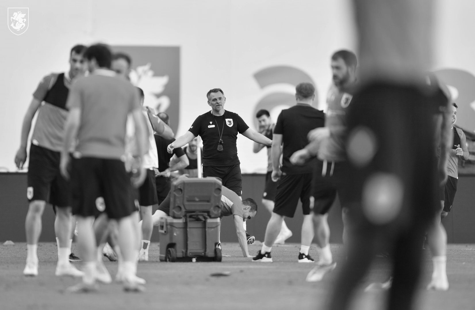 სანიოლი ერთი დებიუტანტით