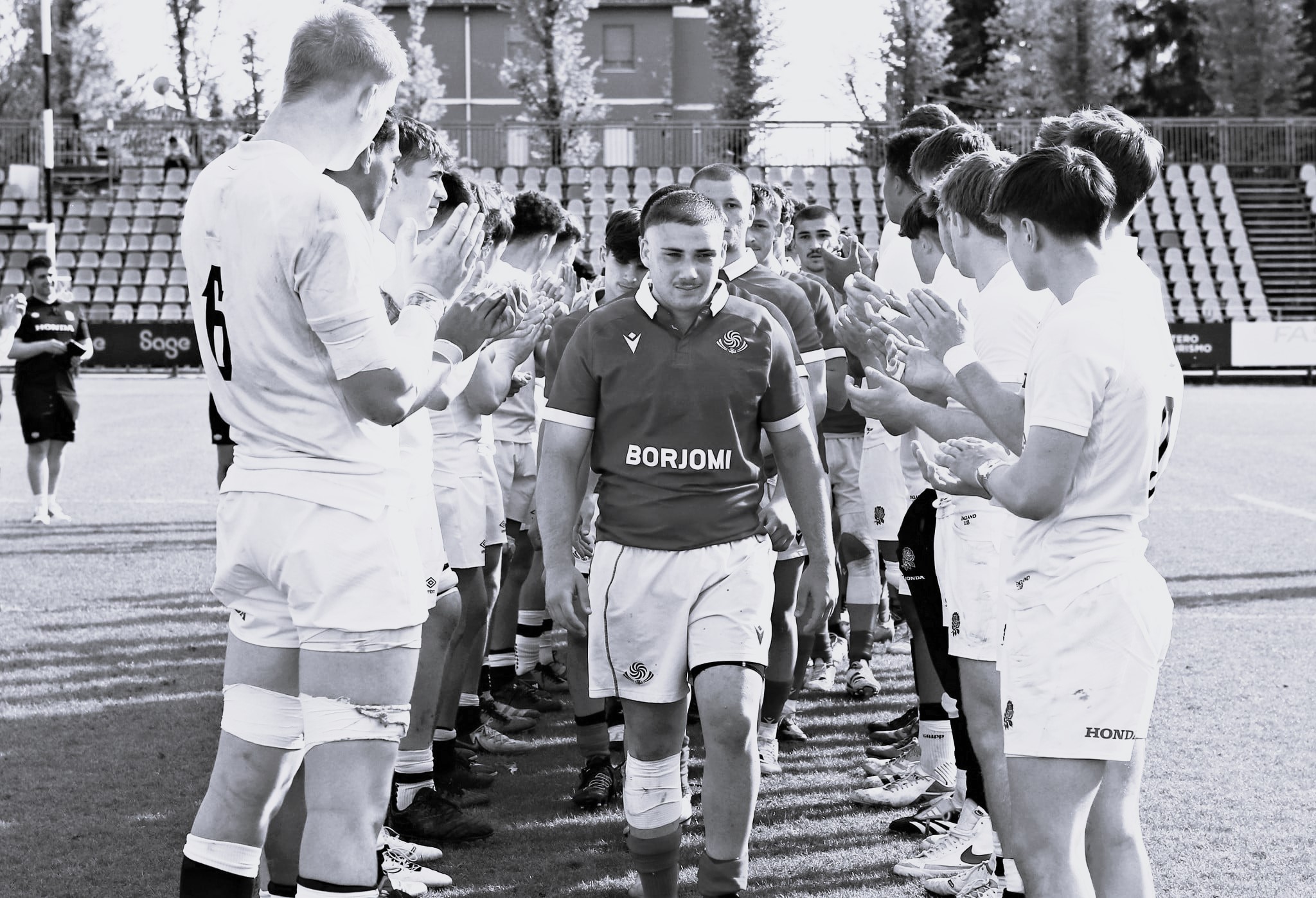 79f04425-a035-4424-a29c-51e21ec6639d საქართველოს ბობოლების ტოლ-სწორია