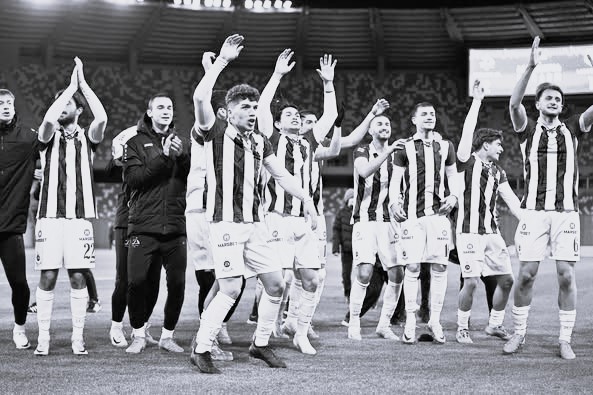 ვივა აკადემია