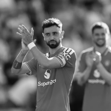 ფერნანდეში ვირია და კინი ლომი?