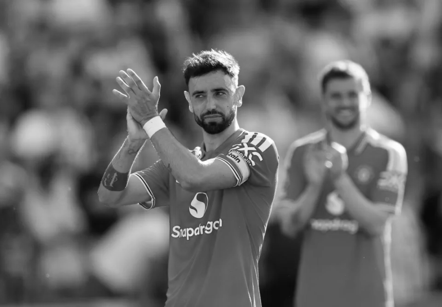 ფერნანდეში ვირია და კინი ლომი?